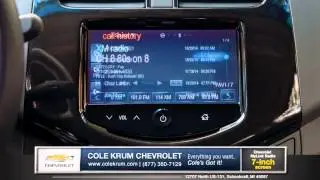 2015 Chevrolet Spark Interior Review in Schoolcraft, MI
