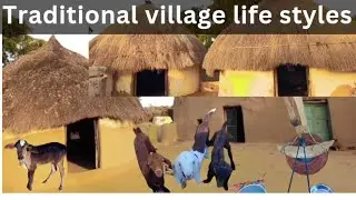 Desert animals | Desert village life |#tharparkarbeautifulmanzer #viral