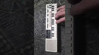 Casio VL-TONE Vintage electronic musical instrument VL-1 1981