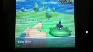 Pitrouille Shiny