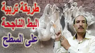 #تربية_البط /شرح خطوات تجهيز مكان تربية البط على السطوح لحماية سقف المنزل من الفضلات