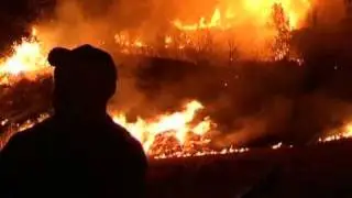 Près de 4.000 hectares brûlés en Corse