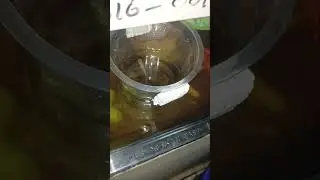 😁 HOMEMADE 😁 DIY 😁 HACKS 😁 BREEDING BOX SETUP #(@prince.preeti ) #air #aquarium #fitting