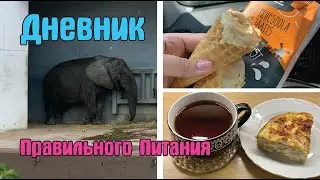 Пересмотрела подход к похудению после этого случая / Зоопарк / Дневник похудения / Стройней вкусно