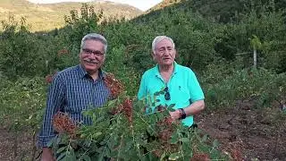 SUMAKLI SOHBET