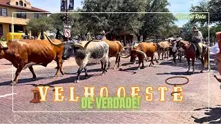 O Velho Oeste ainda existe no Texas — e nós vimos | Além da Rota – Ep. 6