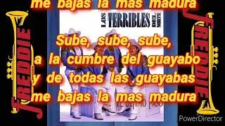 Dame tu Guayabita Los Terribles del Norte Karaoke