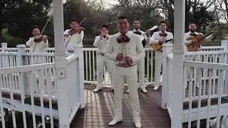 Si ya no te vuelvo a ver / Cover / Marco Antonio Solís / Mariachi Fiesta /contrataciones: 4692308360