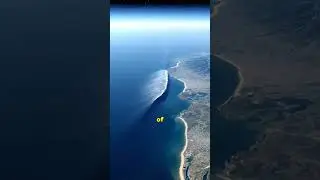 the 2004 Indian Ocean Tsunami