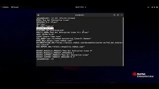 Step-by-Step Guide: How to Reset Root Password on RHEL 9.3 - Easy and Quick Tutorial