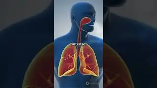 How Respiration Powers Your Body! #Respiration #EnergyProduction #ScienceExplained #biologyfacts