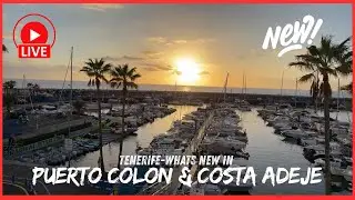 🔴LIVE: Important WARNINGS for November in Teneride! COSTA ADEJE Walk in November ☀️ 2025