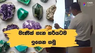 Trading Gemmology for Professionals &ndash; 3වන දින!