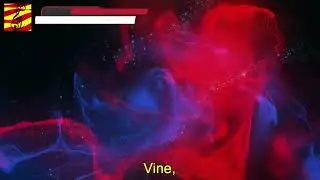 Animal - Vine (subt&iacute;tols i lletra en catal&agrave;)
