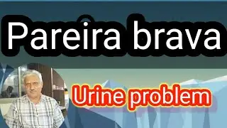Pareira brava |  Urine problem  Rubbani clinic