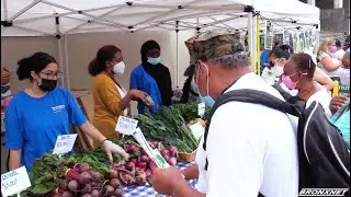 BronxWorks Farm Stand