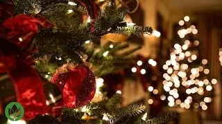 Beautiful Christmas Music And Holidays Ambiance - Soothing Music, Healing Anxiety, Relaxation Music