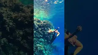 dance near to reef 🧜&zwj;♀️🍑😘 #shorts #egypt #redsea