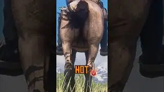 5 Insane Details in RDR 2! | Part 1