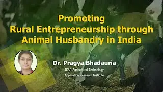Promoting Rural Entrepreneurship through Animal Husbandry in India