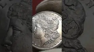 USA. Dollaro 1880 S (San Francisco). AG (g 26,73). KM 110. GMA Numismatica coins