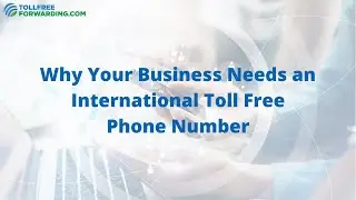 Why Your Business Needs an International Toll Free Phone Number | TollFreeForwarding.com