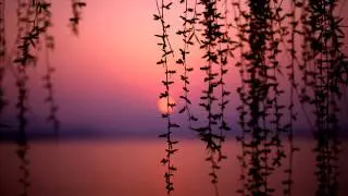 Christiaan Burgel - Tommy Emmanuel - Angelina