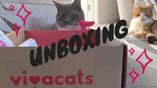 Vivacats monthly box for cats - UK - first unboxing