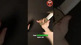 Perfect Fit  Somgrom Ergonomics Review!