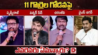 11 గొర్రెల గోడవపై ఎవరెవరు ఏమన్నారు.. | Laila Movie Controversy | Vishwak Sen vs YCP | Pruthviraj