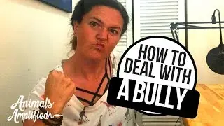 How to Deal with a Bully