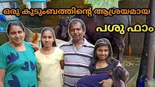 ഒരു കുടുംബത്തിന്റെ ആശ്രയമായ പശു ഫാം || Dairy Farm In Thiruvanathapuram || പശു ഫാം ||