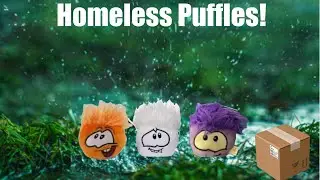 SPB: Homeless Puffles!