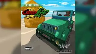 TERRO 3000 -  KARMA