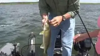 Walleye Fishing Webster SD Lakes 2014