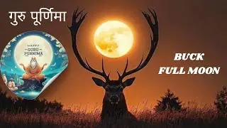 Buck Ful moon || Guru Purnima energy update for Twinflames || DM DF current energy