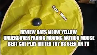 Review Cats Meow Yellow Undercover Fabric Moving Motion Mouse Best Cat Play Kitten Toy As Seen On Tv