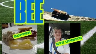 LOADED BACON POTATO SALAD~~EYE DR APPOINTMENT~~HUGE CARPENTER BEE~~COOKING SUPPER