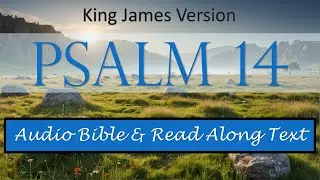 Psalm 14 | KJV DRAMATIZED AUDIO BIBLE WITH TEXT