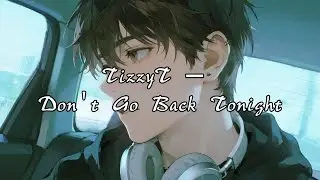 TizzyT - Don't Go Back Tonight『把你握在手里我不想松手，道理我都懂但是不想通透。』【动态歌词MV】