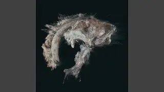Sabretooth