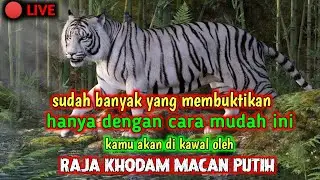 sangat amputh untuk memanggil raja khodam macan putih || musik relaksasi