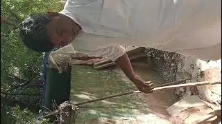 Save earth ,Save animals,Save trees And Save Humanity,Do one thing,plant a tree every day, 