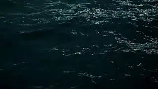 Calm Ocean Waves at Night 🌊 | Sleep & Relaxation (3 Hours)