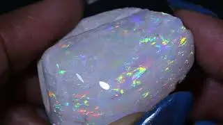 93 cts Bi-Valve Clam Shell Opalized Fossil Opal FO-2593