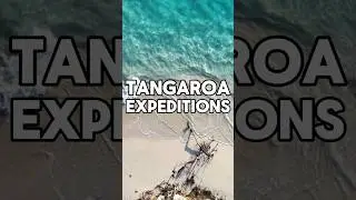 TANGAROA EXPEDITIONS - Nouvelle Cal&eacute;donie - Ouv&eacute;a #ocean #lagon #newcaledonia