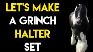 Let's make a Gisnch themed shipping halter set!