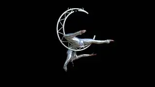 Dream - Aerial Silks & Hoop - Aerial Moon