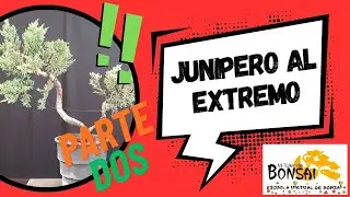 Junipero al EXTREMO parte DOS