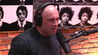 Joe Rogan & Sam Harris on Twitter Trolls